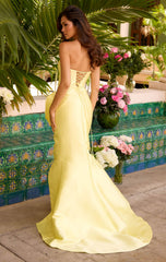 Dress 6301