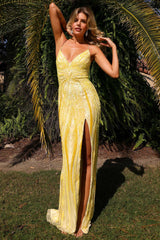 Dress 8451