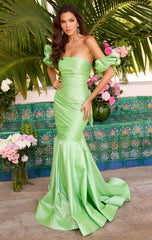 Dress 9164