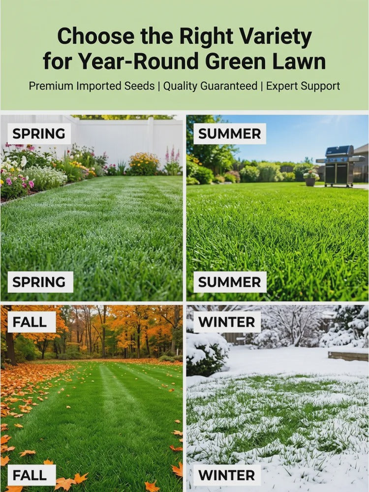 [99% Germination Rate in 7 Days] Multi-Variety Grass Seeds